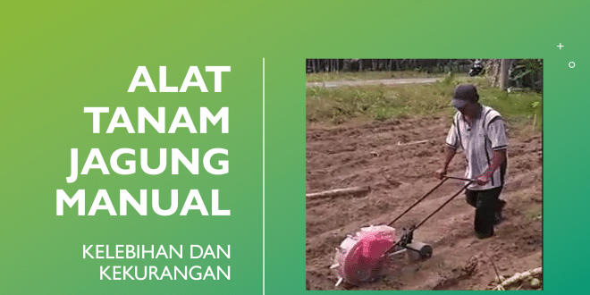 alat tanam jagung manual