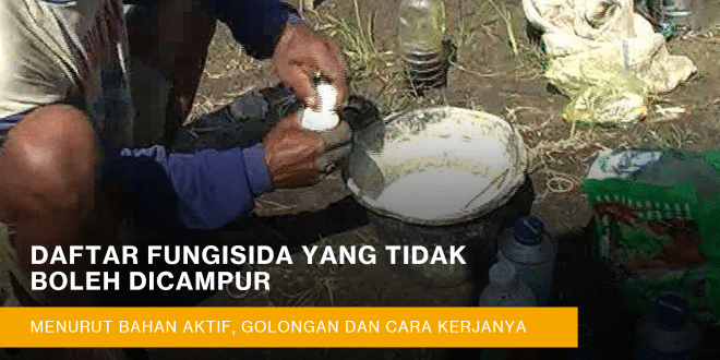 fungisida yang tidak boleh dicampur