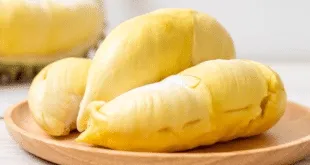 buah durian untuk kesehatan